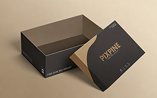 Brand-Designed Shoe Box